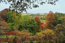 Winkworth Arboretum, Surrey Wallpaper