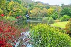 Winkworth Arboretum, Surrey Wallpaper