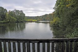 Winkworth Arboretum, Surrey Wallpaper