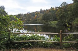 Winkworth Arboretum, Surrey Wallpaper