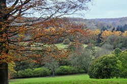 Surrey Hills from Polesden Lacey Wallpaper