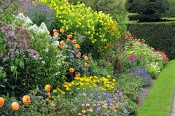 Nymans Garden Wallpaper