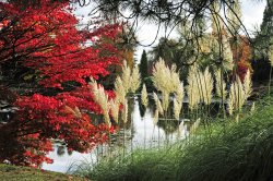 Sheffield Park Garden, Uckfield Wallpaper