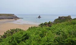 Broad Haven Beach Wallpaper