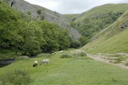 Dovedale, Derbyshire Wallpaper