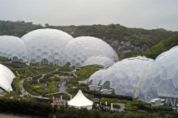 The Eden Project Wallpaper