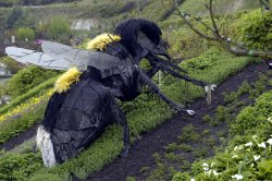 The Eden Project Wallpaper