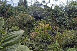 The Eden Project Wallpaper