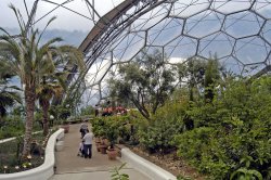 The Eden Project Wallpaper