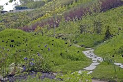 The Eden Project Wallpaper