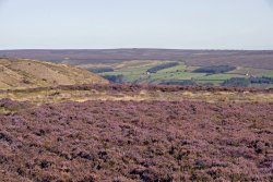 North York Moors Wallpaper