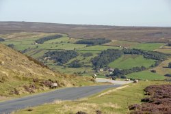 North Yorkshire Moors Wallpaper