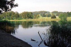 Coniston Water Wallpaper