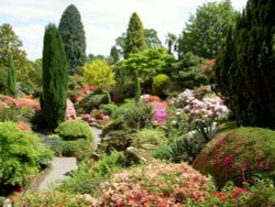 Leonardslee Garden, West Sussex Wallpaper