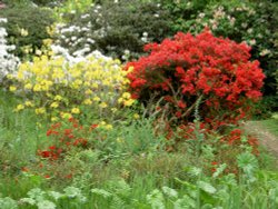 Leonardslee Garden, West Sussex Wallpaper