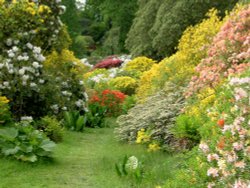 Leonardslee Garden, West Sussex Wallpaper