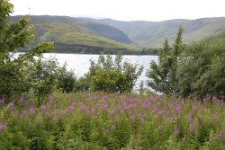 Loch Linnhe Wallpaper