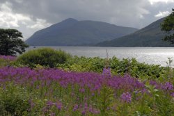 Loch Linnhe Wallpaper