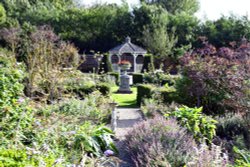 Chapel Down Winery Herb Garden Wallpaper