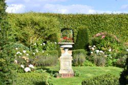 Chapel Down Winery Herb Garden Wallpaper