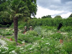 The White Garden, Kensington Palace in memory of Princess Diana Wallpaper