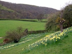 Sleightholmedale Lodge Garden, Fadmoor, North Yorkshire Wallpaper