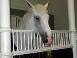 The stables at the Royal Mews Wallpaper