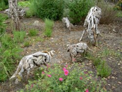 The Eden Project