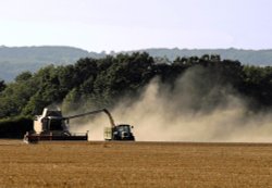 Harvest time near Tenterden in Kent Wallpaper