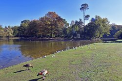 Claremont Landscape Garden Wallpaper