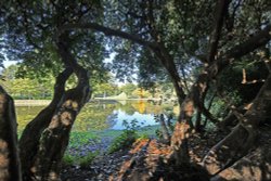 Claremont Landscape Garden Wallpaper