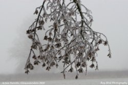 Hoar Frost, nr Acton Turville, Gloucestershire 2010 Wallpaper