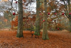 Sheffield Park Garden Wallpaper