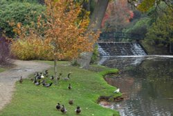 Sheffield Park Garden Wallpaper