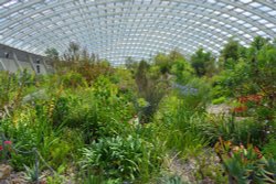 National Botanical Garden of Wales Wallpaper