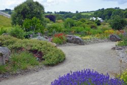 National Botanical Garden of Wales Wallpaper