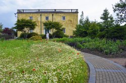 National Botanical Garden of Wales Wallpaper