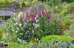 National Botanical Garden of Wales Wallpaper