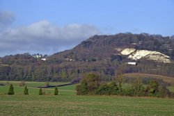 Bluebell Hill, Maidstone Wallpaper