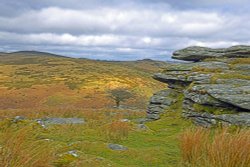 DartmoorNational Park Wallpaper