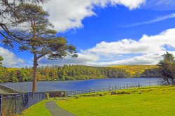 DartmoorNational Park Wallpaper