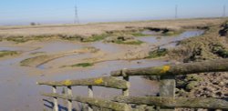 Oare Marshes near Faversham, Kent Wallpaper