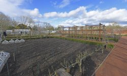 Packwood House Kitchen Garden Wallpaper