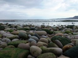 Pebbles of Budleigh Wallpaper