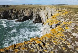 Pembrokeshire coast Wallpaper