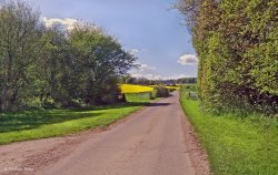 North Dorset Trailway Wallpaper