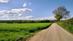 North Dorset Trailway Wallpaper