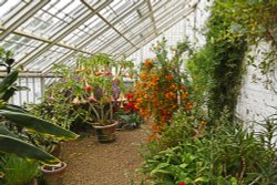 Felbrigg Hall Gardens Wallpaper