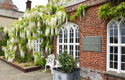 Felbrigg Hall Wallpaper