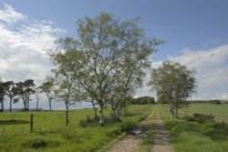 A Track on Gun Hill above Leek, Staffordshire Moorlands Wallpaper